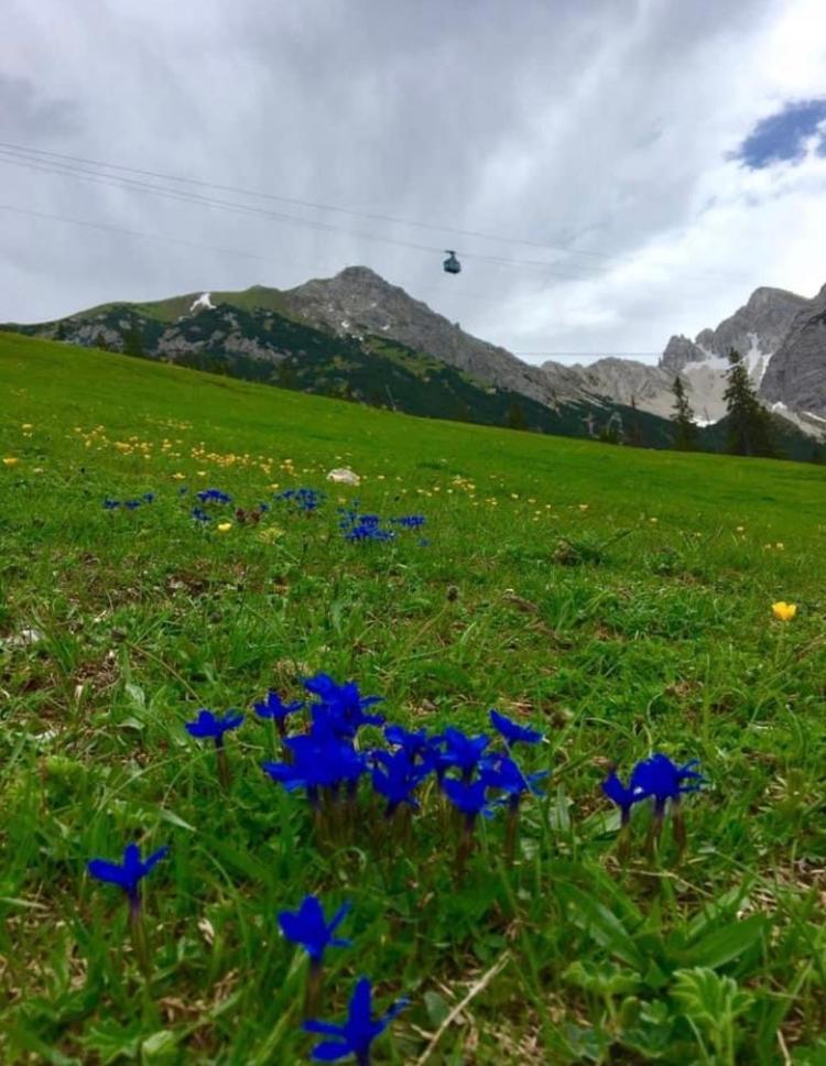 Relax Seefeld Apartman Ζέεφελντ Εξωτερικό φωτογραφία